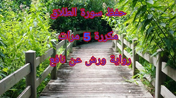حفظ سورة الطلاق - رواية ورش - مكررة 5 مرات
