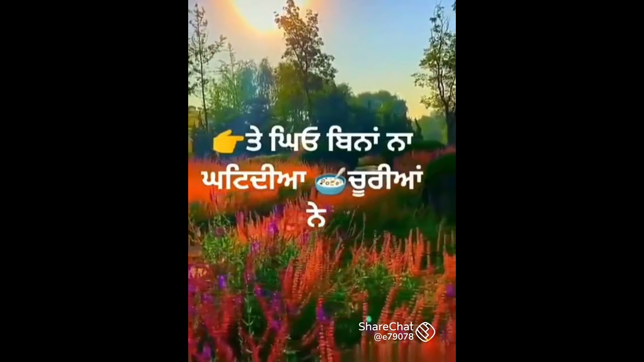 Motivational status punjabi whatsaap status