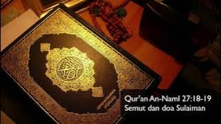 Ayat Qur'an Pilihan   An Naml 27 18 19 Semut dan Doa Sulaiman