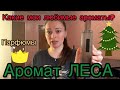 Какие мои любимые ароматы ? Парфюм леса / Парфюм / Парфюмерия / Купить парфюм