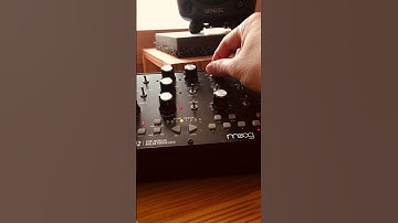 Arpeggio made by the Moog mother32.