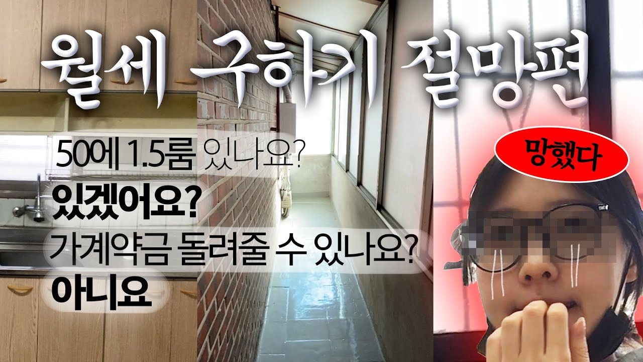 가계약금 100만원 돌려줘요ㅠㅠ 월세 가계약금 날리고 시작하는 첫 자취방 구하기 브이로그🏠/빌라, 원룸 오피스텔 자취방 현실/월세계약, 독립 준비/30대 자취 VLOG