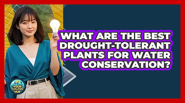 What Are The Best Drought-tolerant Plants For Water Conservation? - Your Utilities Hub