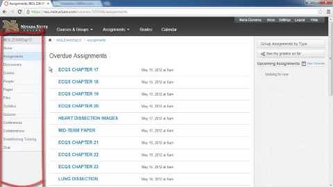 How to Navigate Inside a WebCampus Course