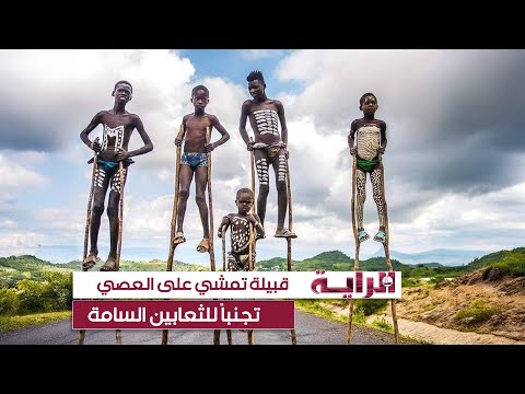 قبيلة تمشي على العصي تجنبا للثعابين السامة