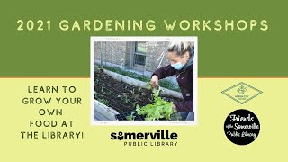 Gardening Workshop with Green City Growers, June 4 2021