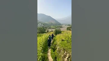 Explore Afghanistan Kapisa Nijrab Afghanistan Shorts 