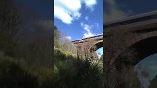 VLocity at Riddlles Creek bridge #trains  #shorts