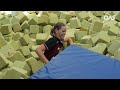 From the sand to the springboard 🏐💦 QAS supported athletes switch sports