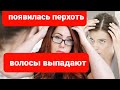 Выпадают волосы! Или Появилась перхоть. Или Себорея. Что делать. Чем мыть голову?