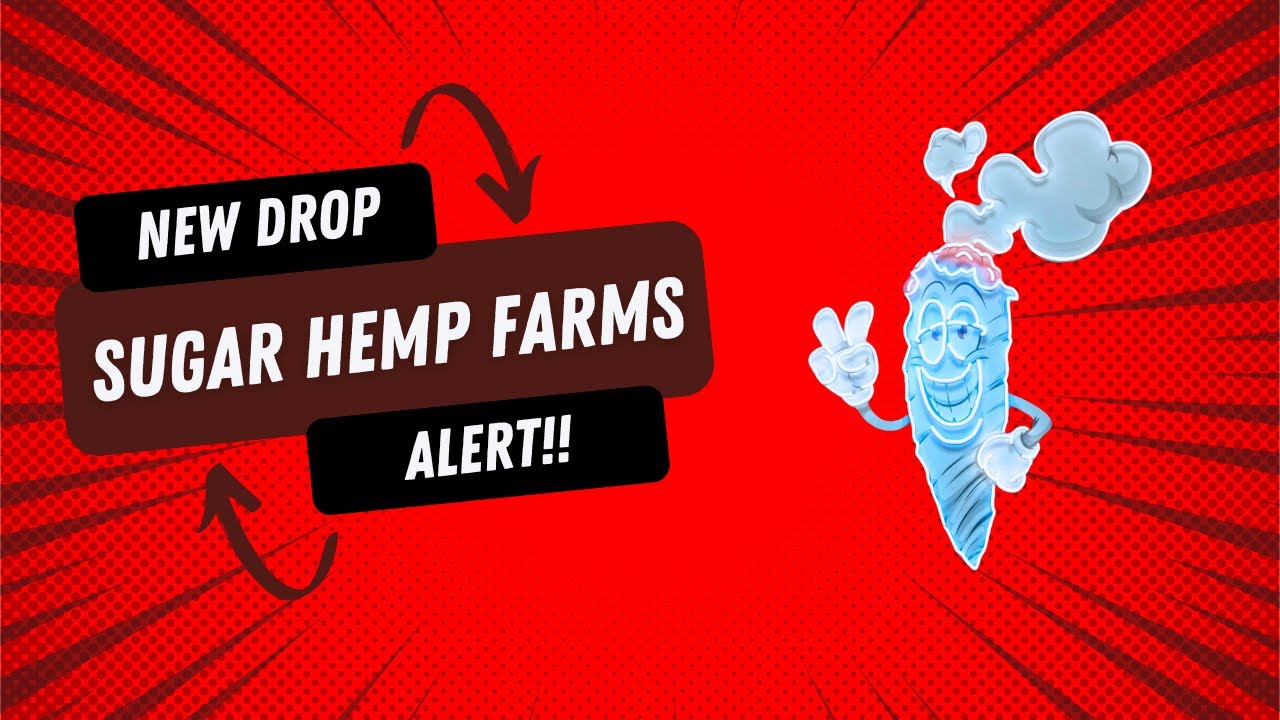 Sugar Hemp Farms THCA Review: Runtz 33 (🍬🍨🔥) LOUD PACK!!