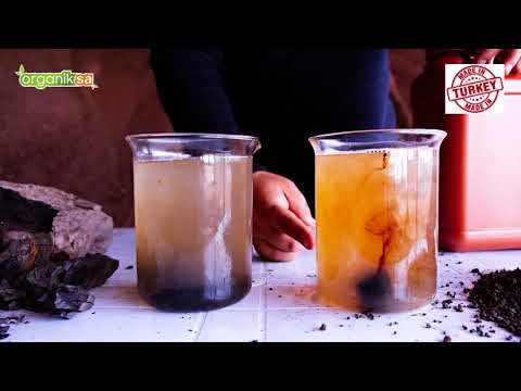 Video: Potassium Humate: Instructions For The Use Of A Liquid Product. What It Is? Fertilizer Composition, What Is It Used For, How To Use It For Vegetables? How Many Grams Do You Need Pe