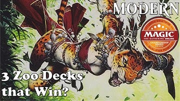 Modern Meta | 3 Zoo Decks that Win? | Domain Zoo
