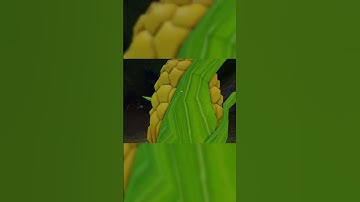 Cách Lấy Items Chưa Đầy 5p Trong Map Halloween Spotlight 😳 #roblox #items #halloween #bomddepzai