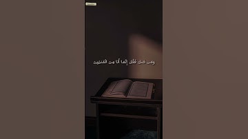 (وَأَنْ أَتْلُوَ الْقُرْآنَ ۖ فَمَنِ اهْتَدَىٰ فَإِنَّمَا يَهْتَدِي لِنَفْسِهِ ۖ ) تلاوة هادئة 🤎