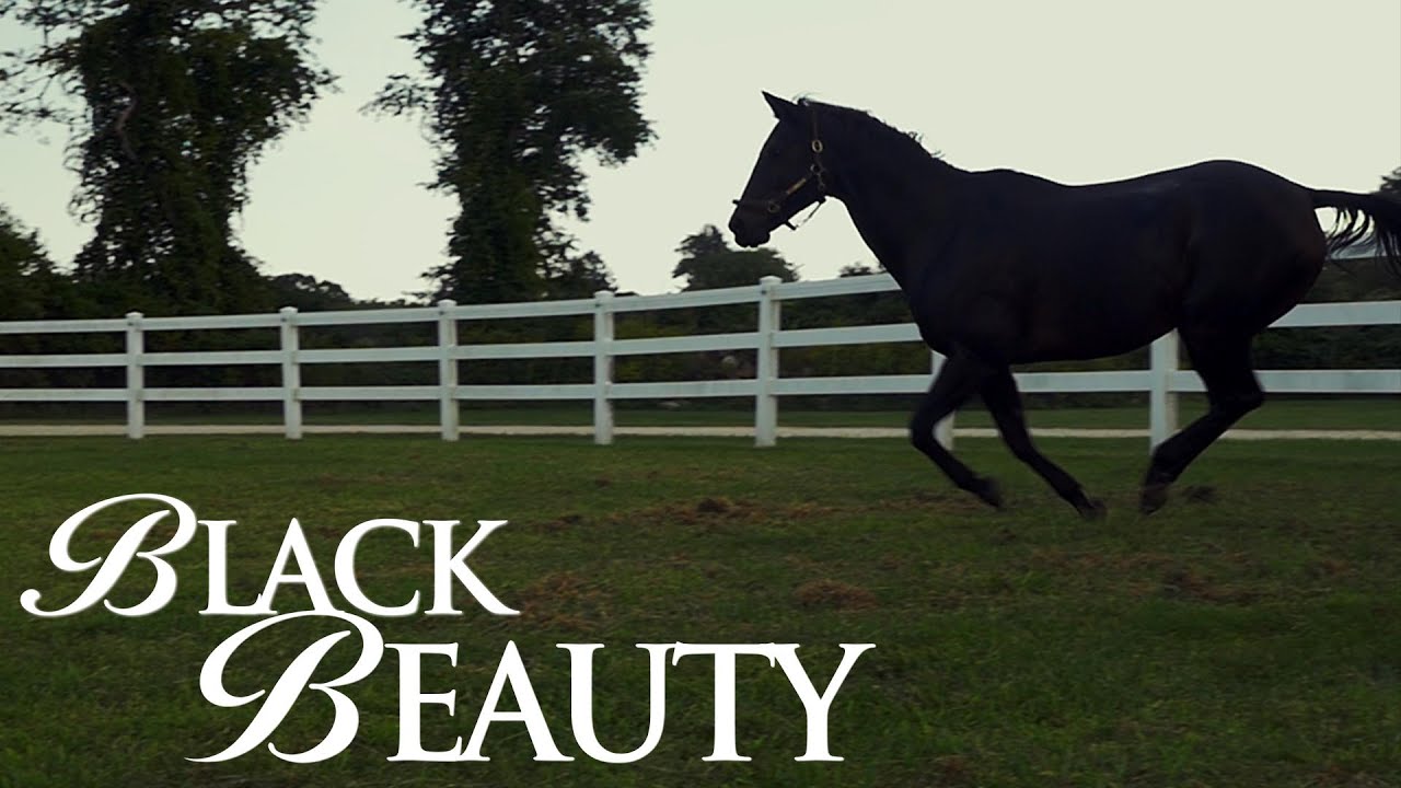 BLACK BEAUTY - Official International Trailer epic pictures films
