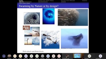 Prof. José A. Carrillo: Aggregation-Diffusion & Kinetic PDEs for collective behaviour