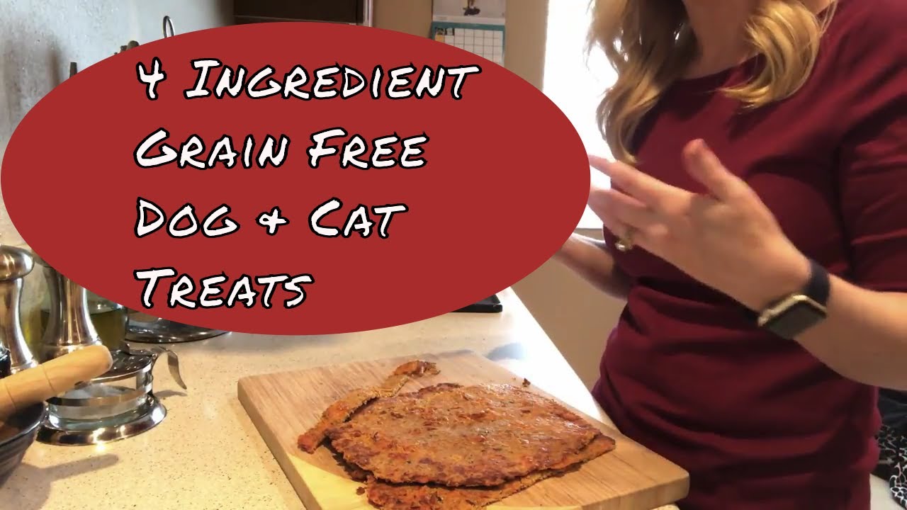 Homemade Dog and Cat Treats 4 Ingredients Fishy Turkey ...