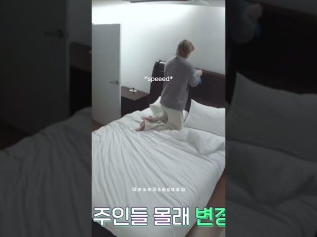 Chan being so happy to sleep with seungmin!😂🐺🐶#straykids class=
