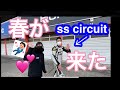 ss circuitさんに春が来た