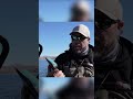 BEST FINESSE LINE FOR SMALL MOUTH BASS #fishing