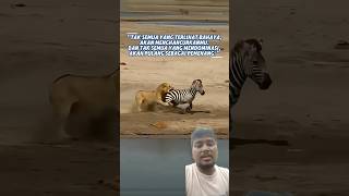 Lion vs Zebra 🦁🔥 One Wrong Step = Game Over#Lion #Zebra #Wildlife #Nature #AnimalAttack #Safari