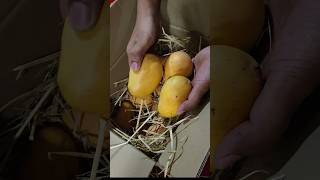 Home నుండి special delivery ♥️ #home #shorts #ytshorts #vlog #dailyvlog #food #nostalgia #viral