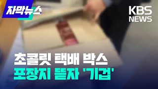 [자막뉴스] 초콜릿이라던 택배 상자... 포장지 뜯고 '기겁'/ KBS 2023.02.05.