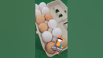 Egg Drop Challenge #elementary #science #stem #teacher #steam #experiment #engineering #eggdrop