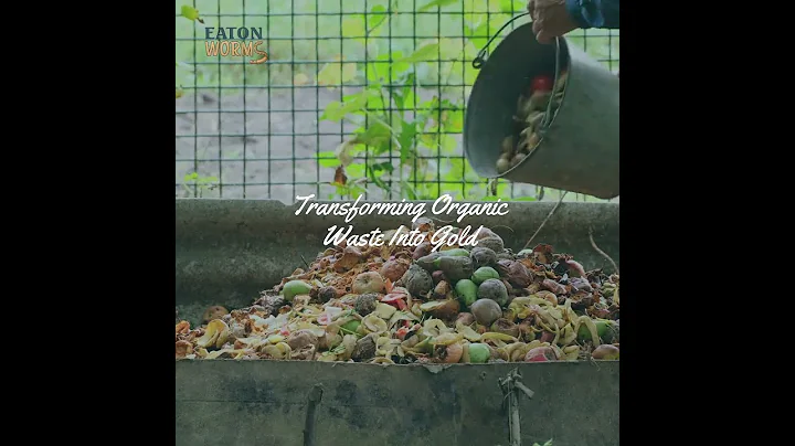 From Waste to Wonder