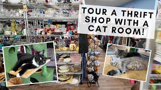 Let's visit Fetch Thrift Shop in Frederick, Maryland & donate some goodies!
