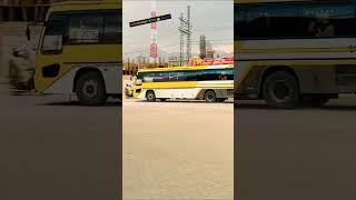Balochistan Daewoo King Buses 