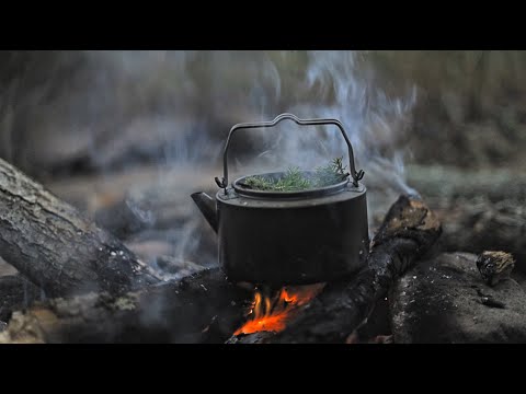 Bushcraft in Sweden: Chanterelles . Juniper Tea & Fishing
