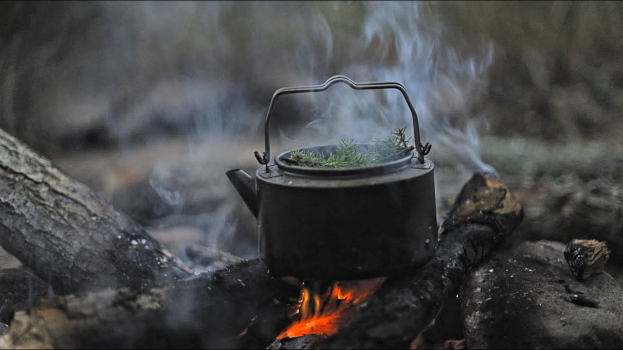 Bushcraft in Sweden Chanterelles . Juniper Tea & Fishing YouTube