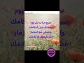 سبع مرات كل يوم سبحتك علي احكامك ترانيم صلوات الاجبية Marc0mira سبع مرات كل يوم سبحتك علي احكامك ترانيم صلوات الاجبية Marc0mira