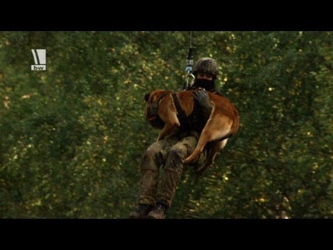 Video: Festung Für Hunde - Gebrauchsanweisung Für Tropfen
