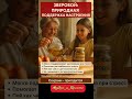 зверобой трава природная поддержка