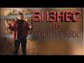 РАЗВЕДЕНИЕ ВОЛНИСТЫХ ПОПУГАЕВ.