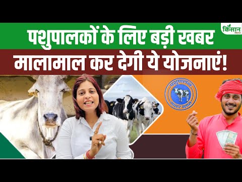 पशुपालकों के लिए खुशखबरी! मिल रहा 50% अनुदान और फिक्स रेट पर दूध खरीदी।Milk MSP।Himachal Govt Scheme