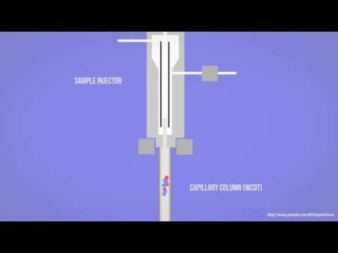 Video: Kapillær gaskromatografi på kolonne?
