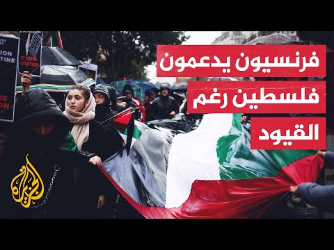 رغم القيود.. مسيرات التضامن مع فلسطين تعم شوارع المدن الكبرى في فرنسا