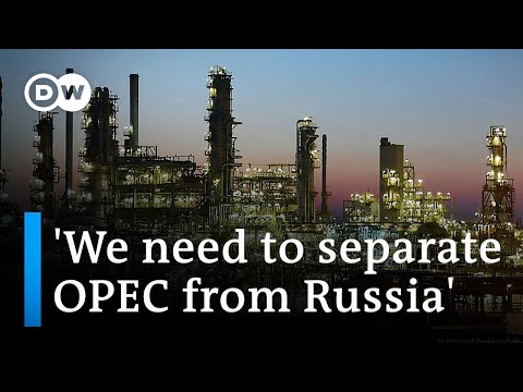 Why an oil embargo might not be the best way to harm Putin now - DW News.