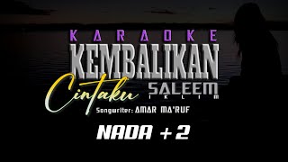 KARAOKE Kembalikan Cintaku - SALEEM Iklim (Original Music) NADA  2