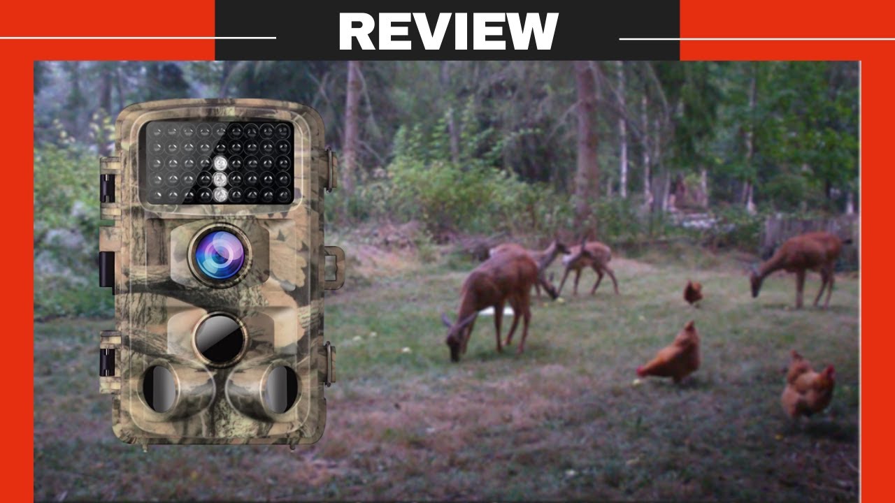 Campark Trail Camera Review