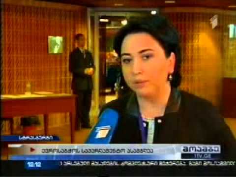 ეკა ბესელიას კომენტარი - ვიზიტი სტრასბურგში