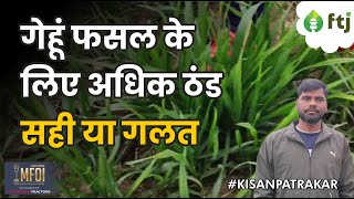 जानिए अधिक ठंड पड़ने से गेहूं की फसल को फायदा है या नुकसान | Avinash Yadav