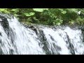 Shiraito in Karuizawa(白糸の滝 軽井沢)