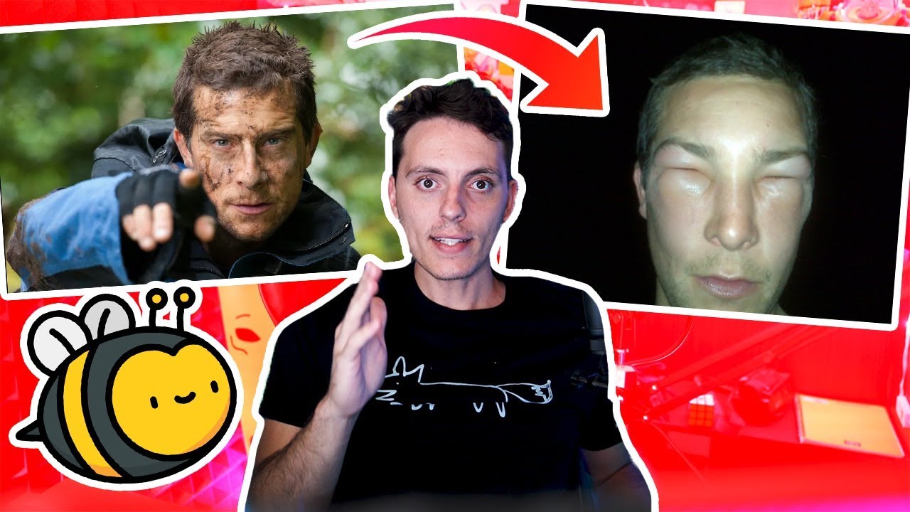 El de A Prueba de TODO no es a prueba de ABEJAS-Wefere NEWS