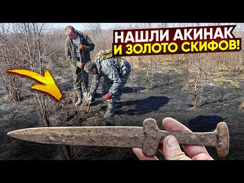 видео: Откопали древний меч в корнях и Золото Скифов! Тур от Серого Копателя  Воронеж 2 часть