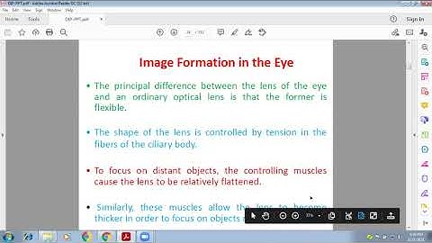 Lecture 4 : Elements of Visual Perception